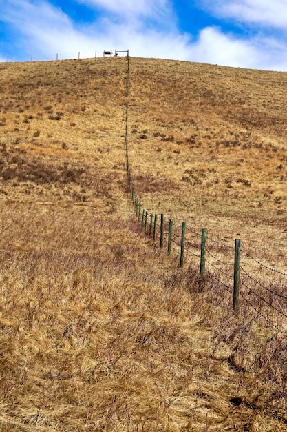 Foto vista panoramica del campo contro il cielo