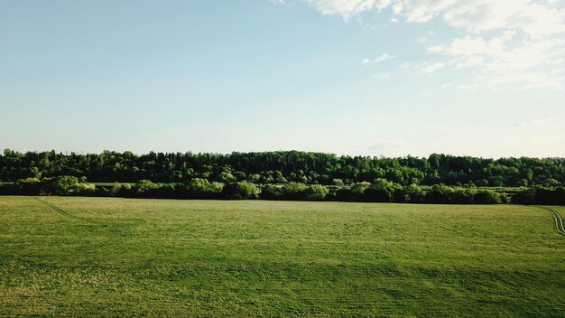 Foto vista panoramica del campo contro il cielo