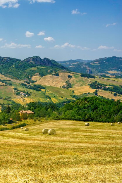 Foto vista panoramica del campo contro il cielo