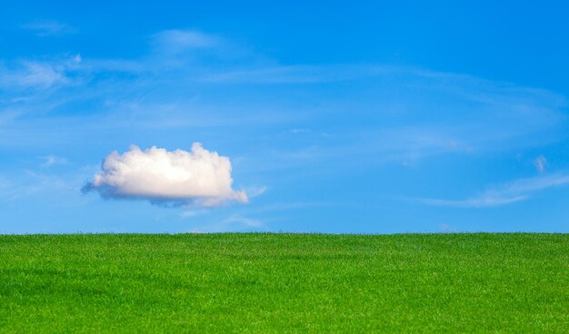 Photo scenic view of field against sky