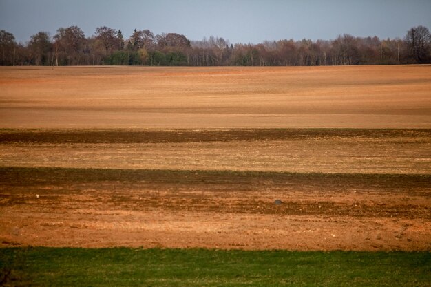 Foto vista panoramica del campo contro il cielo