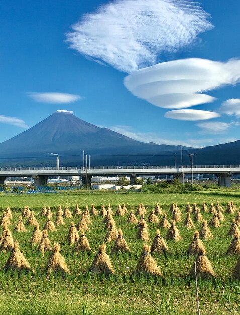 Photo scenic view of field against sky