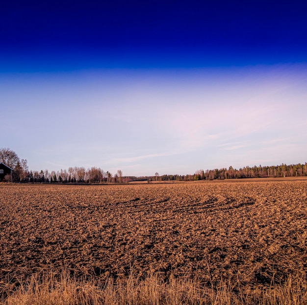 Foto vista panoramica del campo contro il cielo