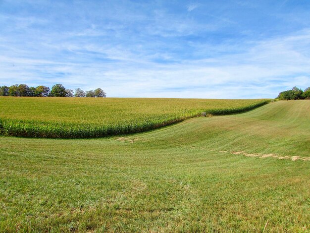 Foto vista panoramica del campo contro il cielo