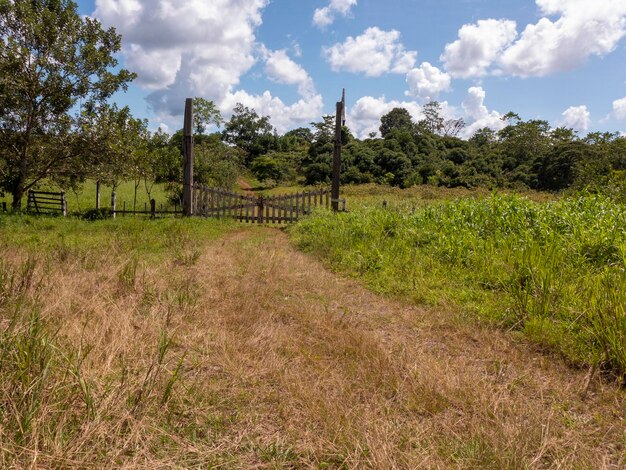 Foto vista panoramica del campo contro il cielo