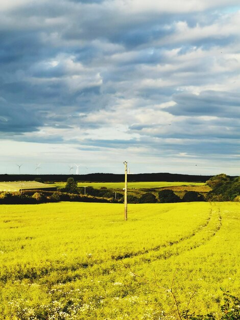 Foto vista panoramica del campo contro il cielo