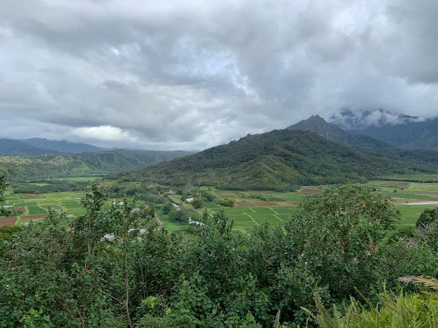 Foto vista panoramica del campo contro il cielo