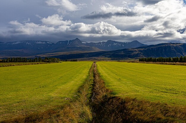 Foto vista panoramica del campo contro il cielo