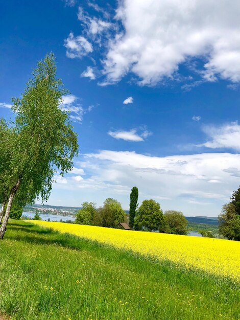 Photo scenic view of field against sky