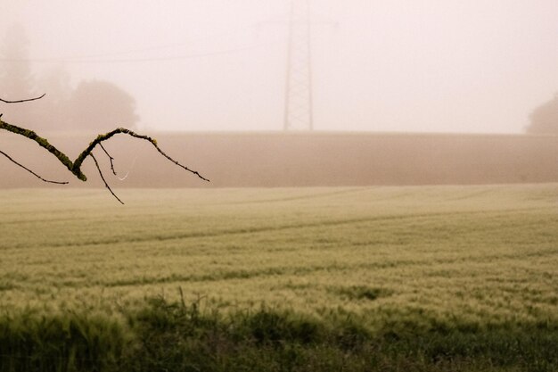 Photo scenic view of field against sky