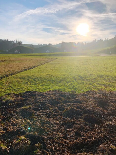 Photo scenic view of field against sky