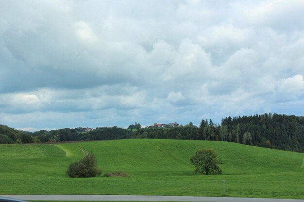 Scenic view of field against sky