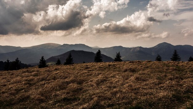 Foto vista panoramica del campo contro il cielo