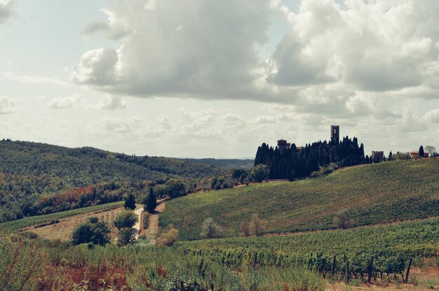 Foto vista panoramica del campo contro il cielo