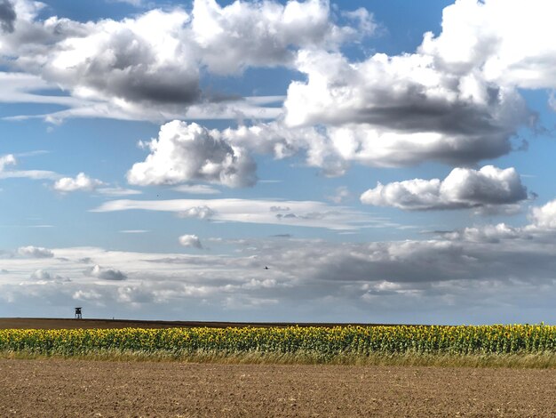 Foto vista panoramica del campo contro il cielo