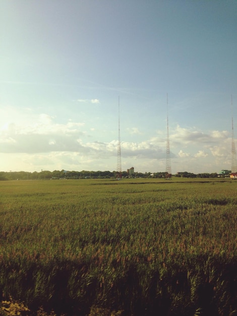 Foto vista panoramica del campo contro il cielo
