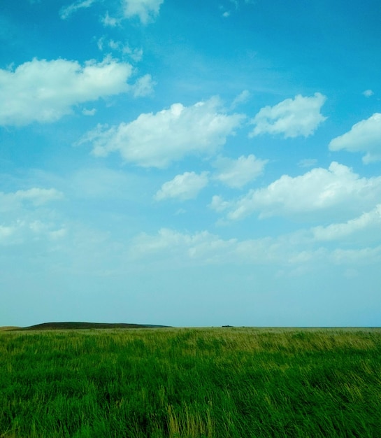 Photo scenic view of field against sky