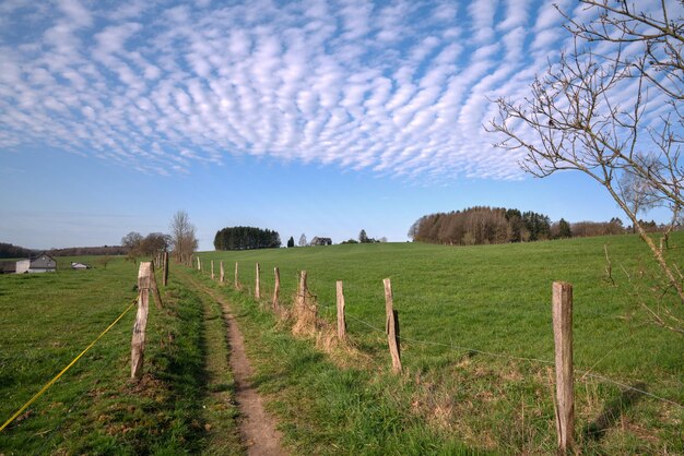 Foto vista panoramica del campo contro il cielo