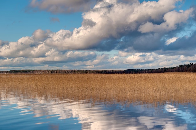 Photo scenic view of field against sky