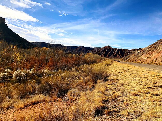 Foto vista panoramica del campo contro il cielo