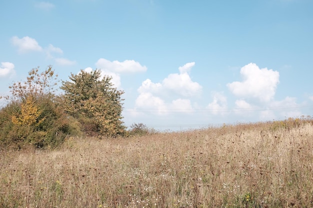 Photo scenic view of field against sky