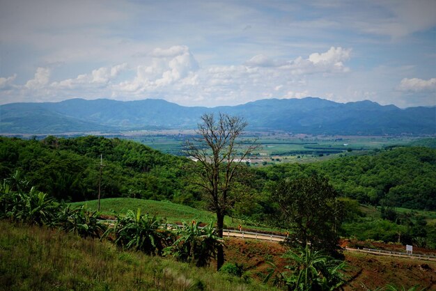 Foto vista panoramica del campo contro il cielo