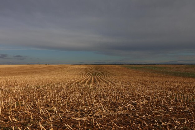 Foto vista panoramica del campo contro il cielo