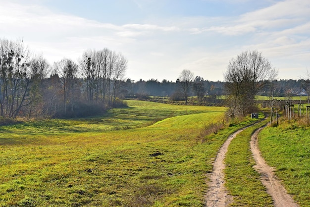 Foto vista panoramica del campo contro il cielo