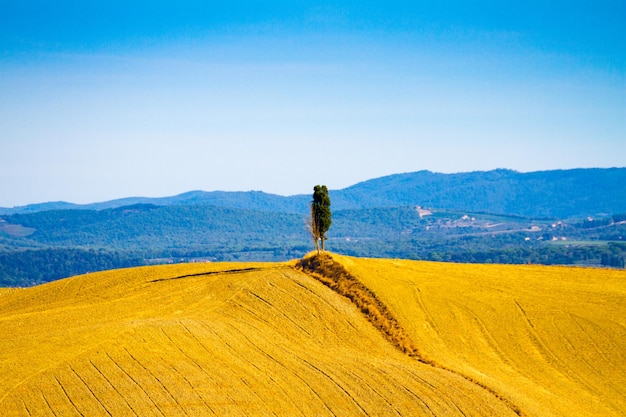 Photo scenic view of field against sky