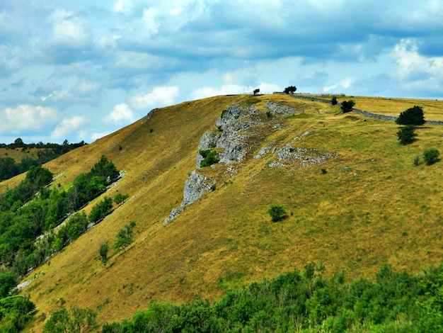 Foto vista panoramica del campo contro il cielo