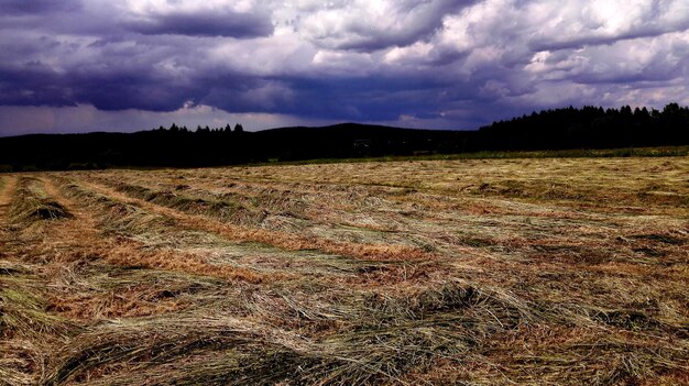 scenic view of field against storm clouds