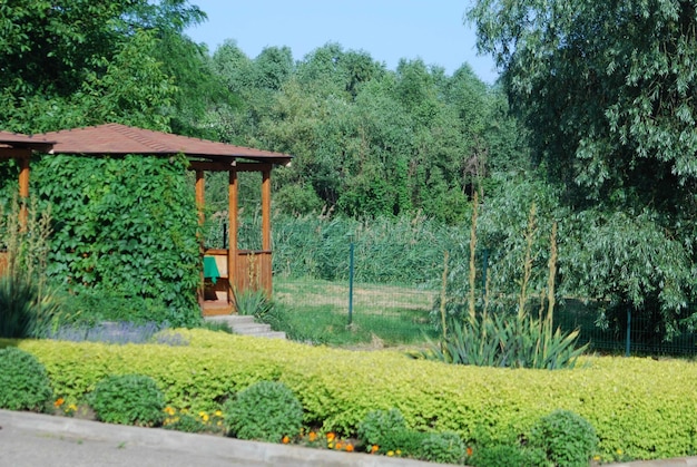 Scenic view of field against trees