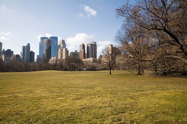 Scenic view of field by buildings against sky