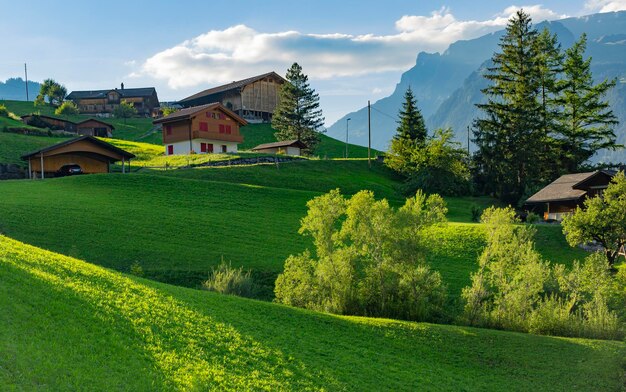 Scenic view of field by houses and trees against sky