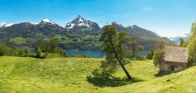 Scenic view of field by lake against sky