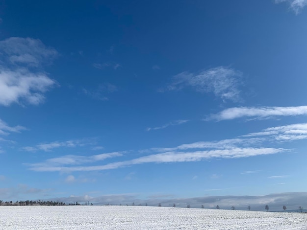 Scenic view of field covered in snow against blue sky