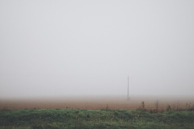 Photo scenic view of field in foggy weather