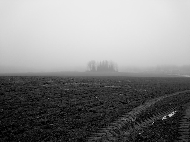 Photo scenic view of field in foggy weather