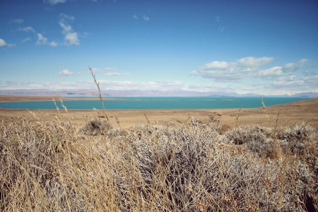 Scenic view of field and lake against sky