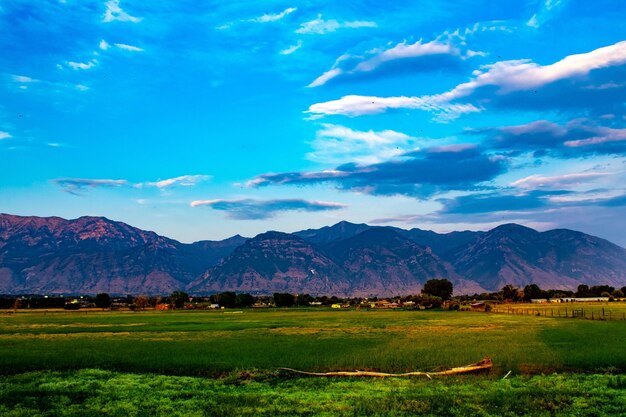 Scenic view of field and mountains against blue sky