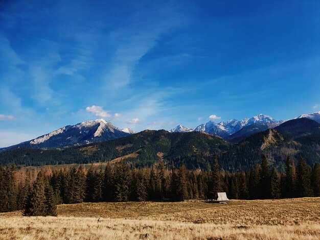 Scenic view of field and mountains against blue sky