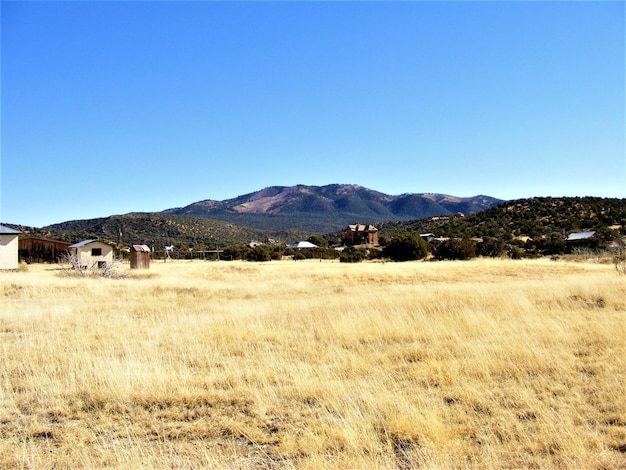 Scenic view of field and mountains against clear blue sky