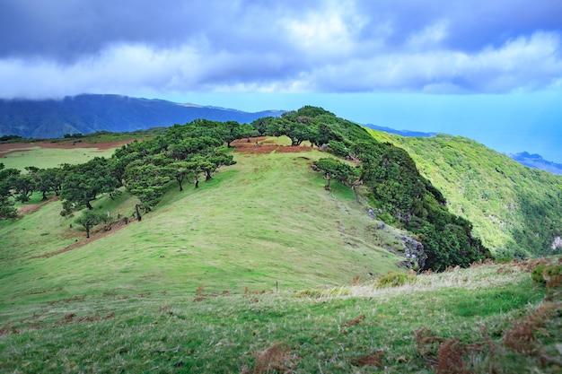 Scenic view of field and mountains against sky