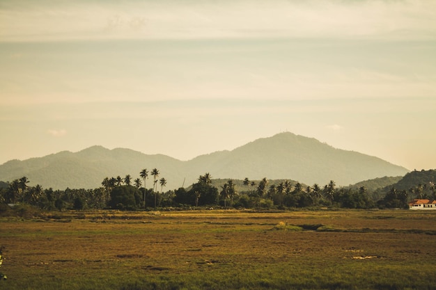 Photo scenic view of field and mountains against sky