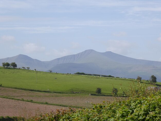 Scenic view of field and mountains against sky