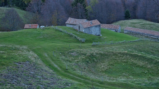 Foto vista panoramica del campo