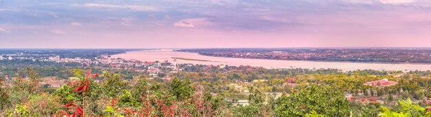 Foto vista panoramica di piante in fiore sulla terraferma contro il cielo