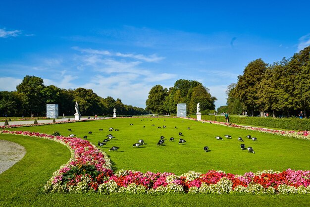 Scenic view of flowering plants in park against sky