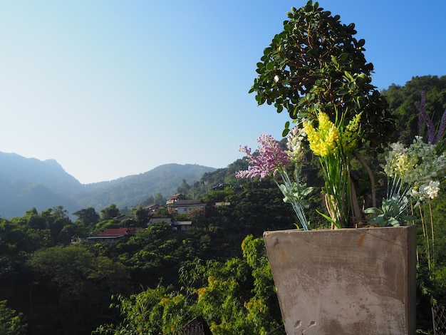 Foto vista panoramica di un albero in fiore contro un cielo limpido