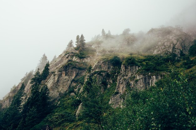 Photo scenic view of fog against sky